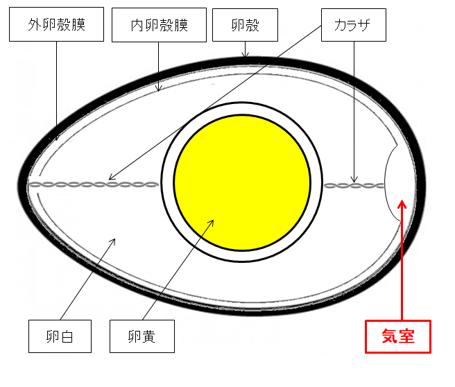 気室 ペットシッターsos 全国展開のペットシッターサービス